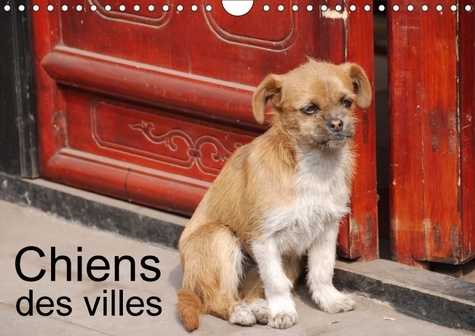 Chiens des villes (Calendrier mural 2017 DIN A4 horizontal). La vie canine en ville (Calendrier mensuel, 14 Pages )
