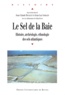 Jean-Luc Sarrazin et Jean-Claude Hocquet - Le Sel de la Baie - Histoire, archéologie et ethnologie des sels de l'Atlantique.