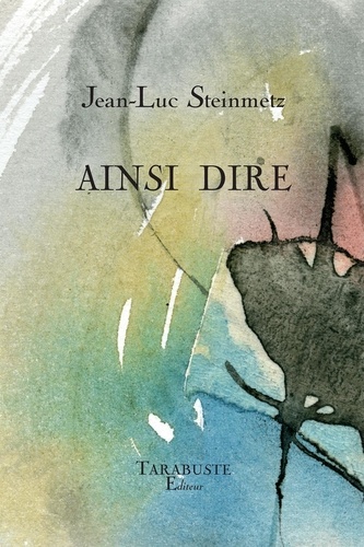 Jean-Luc Steinmetz - AINSI DIRE - Jean-Luc Steinmetz.