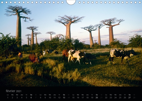 CALVENDO Places  Madagascar rêvée (Calendrier mural 2021 DIN A4 horizontal). Carnet de voyage en photographies, "Madagascar rêvée" nous embarque dans une traversée de l'île rouge. (Calendrier mensuel, 14 Pages )