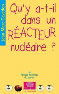 Jean-Marc Cavedon - Qu'y a-t-il dans un réacteur nucléaire ?.