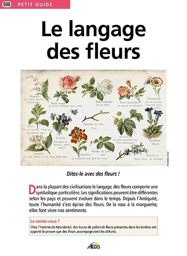 Jean-Marc Harel-Ramond - Le langage des fleurs.