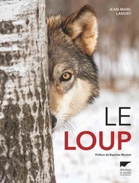 Jean-Marc Landry - Le loup.