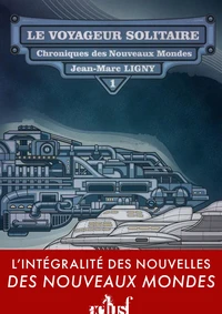 Le voyageur solitaire