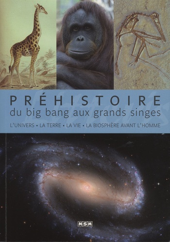 Jean-Marc Perino - Préhistoire, du big bang aux grands singes - L'univers, la Terre, la vie, la biosphère avant l'Homme.