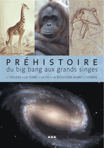 Jean-Marc Perino - Préhistoire - Du Big bang aux grands singes.