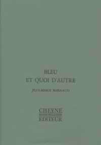 Bleu et quoi d'autre