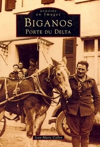 Jean-Marie Callen - Biganos - Porte du delta.