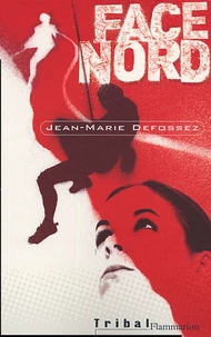Face Nord