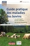 Jean-Marie Gourreau et Sylvie Chastant - Guide pratique des maladies des bovins.