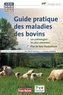Jean-Marie Gourreau et Sylvie Chastant - Guide pratique des maladies des bovins.