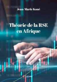 Théorie de la RSE en Afrique
