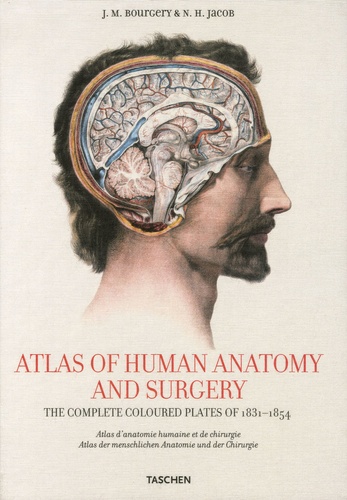Jean-Marie Le Minor et Henri Sick - Atlas d'anatomie humaine et de chirurgie - Edition trilingue français-anglais-allemand.