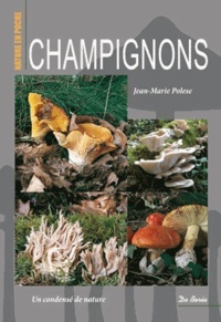 Champignons.pdf