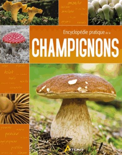 Jean-Marie Polese - Encyclopédie pratique des champignons.