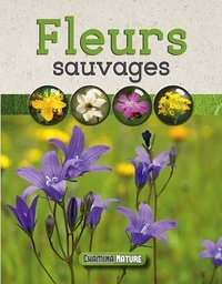 Jean-Marie Polese - Fleurs sauvages.