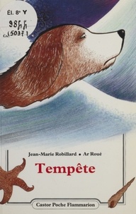 Jean-Marie Robillard - Tempête.