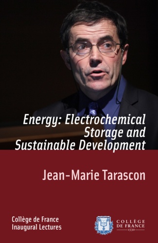 Energy: Electrochemical Storage and Sustainable Development. Inaugural Lecture delivered on Thursday 9 December 2010