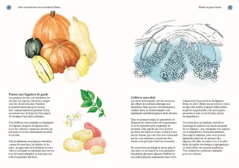 Une année de légumes. Les guides du jardinier maraîcher