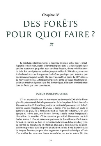 La mémoire des forêts. A la découverte des traces de l'activité humaine en forêt à travers les siècles