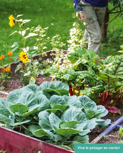 Créer un potager en carrés. Pour cultiver facilement des légumes toute l'année