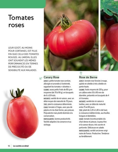 Tomates, les variétés qui ont du goût et comment les cultiver
