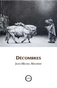 Jean-Michel Maubert - Décombres.