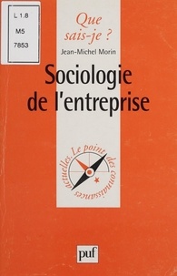 Jean-Michel Morin - Sociologie de l'entreprise.