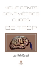 Jean-Michel Zurletti - Neuf cents centimètres cubes de trop.