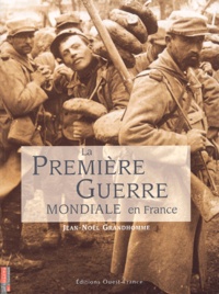 Rhonealpesinfo.fr La Première Guerre mondiale en France Image