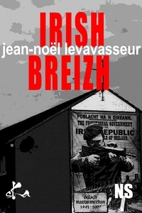 Jean-Noël Levavasseur - Irish Breizh.