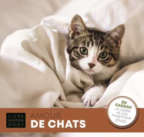 Amour de chats. Avec en cadeau un cadre et une magnifique photo  Edition 2021