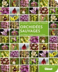 Orchidées sauvages.pdf