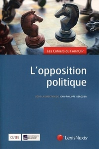 Jean-Philippe Derosier et  ForInCIP - L'opposition politique - 1er forum, 19 et 20 juin 2015.
