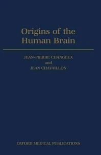 Origins Of The Human Brain