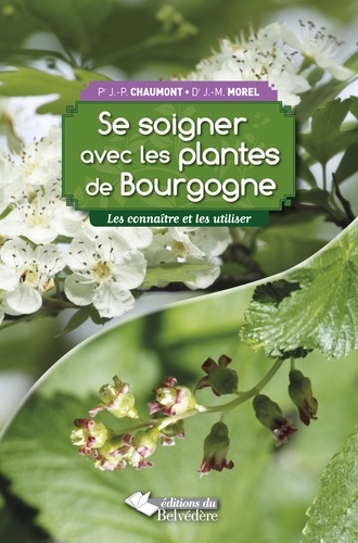 Jean-Pierre Chaumont et Jean-Michel Morel - Se soigner avec les plantes de Bourgogne - Les connaître et les utiliser.
