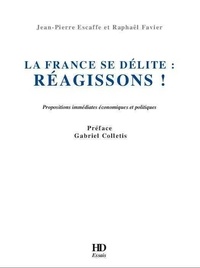 Jean-Pierre Escaffe et Raphaël Ravier - La France se délite : réagissons.