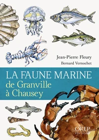 La faune marine de Chausey et Granville