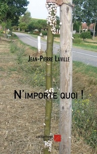 Jean-Pierre Laville - N'importe quoi !.