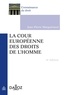 Jean-Pierre Marguénaud - La cour européenne des droits de l'homme.