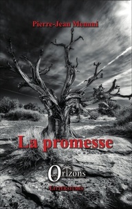 Jean-Pierre Memmi - La promesse.