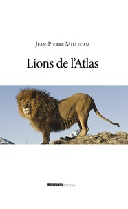 Jean-Pierre Millecam - Lions de l'Atlas.