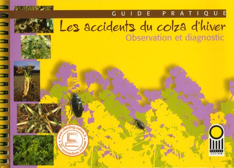 Jean-Pierre Palleau et  Collectif - Guide pratique - Les accidents du colza d'hiver.