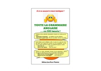 Jean-Pierre Vasseur - Toute la grammaire anglaise... en 500 tweets!.