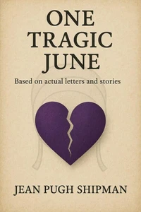 One Tragic June: Based on Actual Letters and Stories
