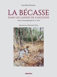 Jean-René Oudenot - La bécasse dans les Landes de Gascogne - Chasse et braconnage depuis le XIXe siècle.