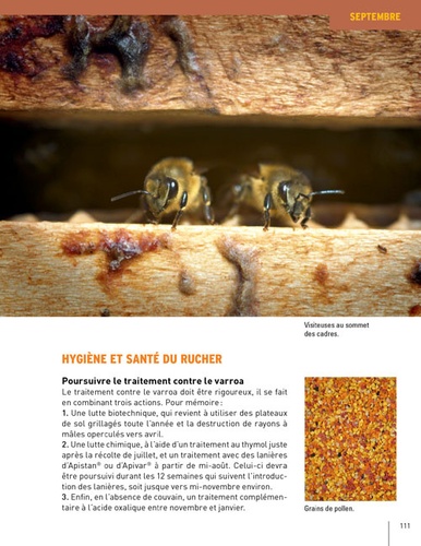 L'apiculture mois par mois - Toutes les... de Jean Riondet - Livre - Decitre