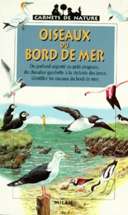 Jean Roche - Oiseaux du bord de mer.