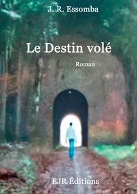 Le destin volé