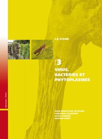 Jean-Sébastien Reynard et Santiago Schaerer - Virus, bactéries et phytoplasmes.